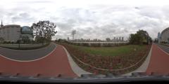 pudong (7)